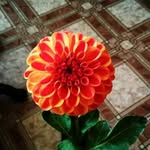 Nelsonbeck - @nelson_beck2 - Instagram