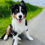 Nelson_bergeraustralien - @nelson_bergeraustralien - Instagram