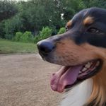 Nelson - @nelson_berger26 - Instagram
