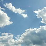 Judy Bloom Nelson - @jbloomnelson - Instagram