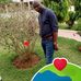Nelson Kapembe Bock - Facebook