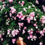 Nelson Bond - @nelson.b303 - Instagram