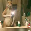 Nelson Borja - @nelson.borja91 - TikTok