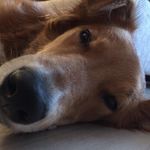 Bowen Nelson - @bowen.nelson - Instagram