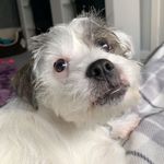 nelson bradshaw - @our_nelson - Instagram