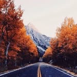 Nelson Braun - @braunnelson - Instagram