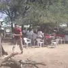 Nelson Brites - @nelson.brites - TikTok
