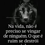 Nelson Viana - @nelsonbrites59 - Instagram