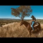 Nelson Brooks - @nelson_brooks01 - Instagram