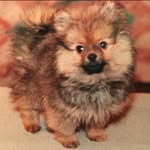 Karen Nelson Burnett - @ksherlock6 - Instagram