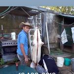 José Nelson cadenas Mendez - @josenelsoncadenas - Instagram
