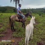 Abdias Nelson - @nelson_camara2 - Instagram