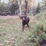 Carey Nelson - @careynelson_31 - Instagram