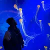 Carson Nelson🕺🏾 - @carsonnelson_ - TikTok