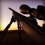 Carson Nelson - @carsonnelson04 - Instagram
