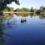 Carson Nelson - @nelson.carson - Instagram