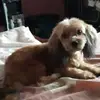 NELSON CHACON - @nelson.chacon7 - TikTok