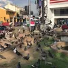 Nelson Chen - @2184122128 - TikTok
