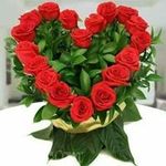 Nelson Cisneros - @nelson6355 - Instagram