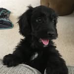 Nelson_Coates - @nelson_coates - Instagram