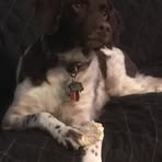 Cole Nelson - Facebook
