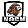 Nelson Collazo - @ngcn_ - TikTok