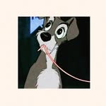 Nelson Cooper - @nelson_cooper_editz - Instagram