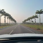 Nelson Cordeiro - @nelson.cordeiro - Instagram
