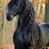 nelson coy - @user59292414754276 - TikTok