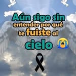 Nelson Crespo - @nelson_crespo - Instagram