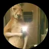Nelson Peraza - @nelsondanielperaza - TikTok