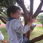 Nelson Davalos - @davalosnelso - Instagram
