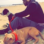 Nelson Dawson - @nelsondawson773 - Instagram