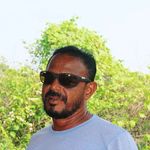 Nelson Dawson - @nelson0954 - Instagram