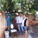 Nelson Diniz - @nelson.diniz.5682 - Instagram