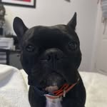 Nelson Enrique Dixon - @willynelsooon - Instagram
