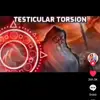 dominicnelson95 - @dominicnelson95 - TikTok