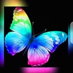Nelson Dominic - @nelson.dominic.904 - Instagram