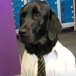 NELSON DUNCAN - @nelsondogdella - Instagram