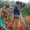 Scrappy Nelson, Duncan Pickles - @nelsonpickles - TikTok
