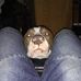 Nelson Dunham - Facebook