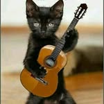 Nelson Esparza - @nelson.esparza.7 - Instagram