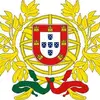 Nelson Esteves - @nelson_esteves - TikTok