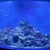 Nelson Fallet - @nelson.fallet - TikTok