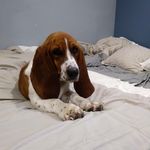 Floyd Nelson - @floyd_nelson_woof_ - Instagram