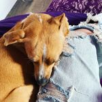 @nelson_floydmoore - Instagram