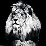 Nelson Ford - @nelson.2a_ - Instagram