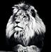 Nelson Ford - Facebook