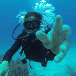 Nelson Fragata - @nelsonfragata - Instagram
