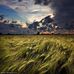 Nelson Francis - Facebook